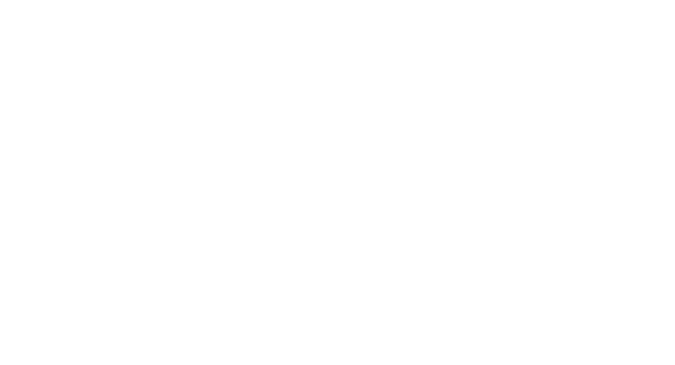 posillico-flag-final-white-1@2x